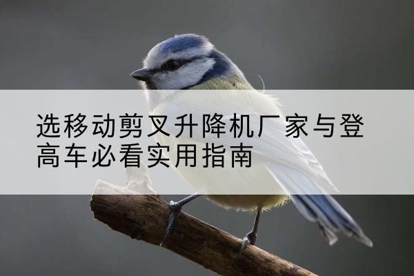 滑县电动升降机厂家-选移动剪叉升降机厂家与登高车必看实用指南