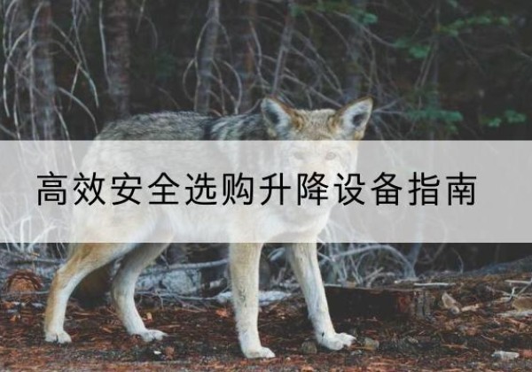 滑县升降货梯厂家推荐-*安全选购升降设备指南