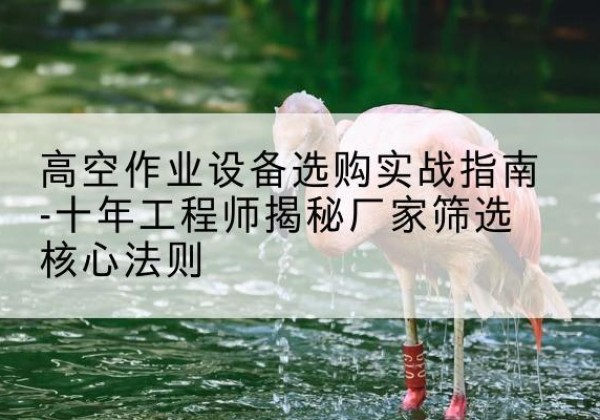 滑县剪叉式升降机厂家-高空作业设备选购实战指南-十年工程师揭秘厂家筛选核心法则